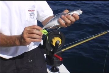 Hard Tail Baits For Catching Kings