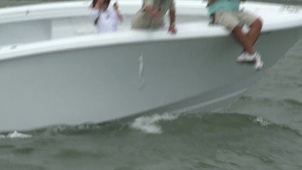 SFTV: Bridge Monsters Part 4