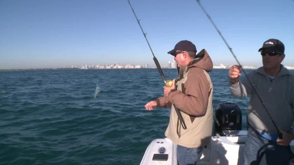 SFTV: South Beach Sails Part 3