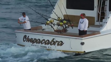 2012 Los Cabos Billfish Tournament