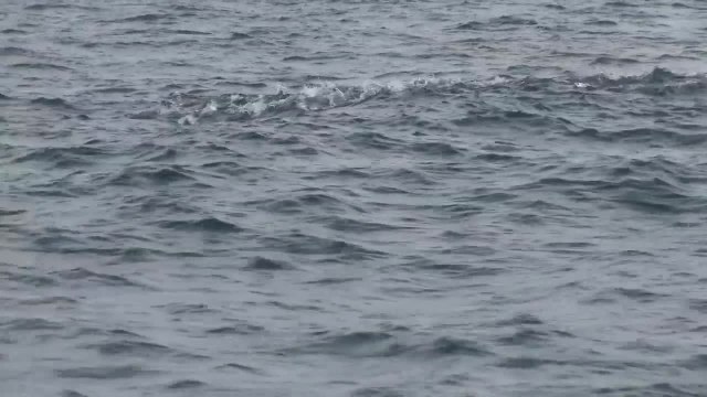 SFTV 2011-11 St. Augustine Speedsters - 3-web H264