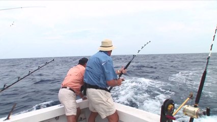 SFTV:  Bermuda's Best Part 1