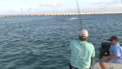 SFTV : Bridge Monsters Part 2