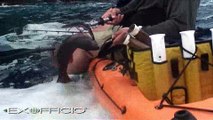 Extreme Kayak Fishing in Panama