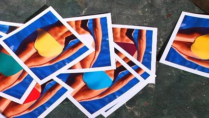 Pettit Paint - Vivid