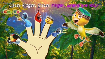 Rio 2 Finger Family Nursery Rhymes Lyrics