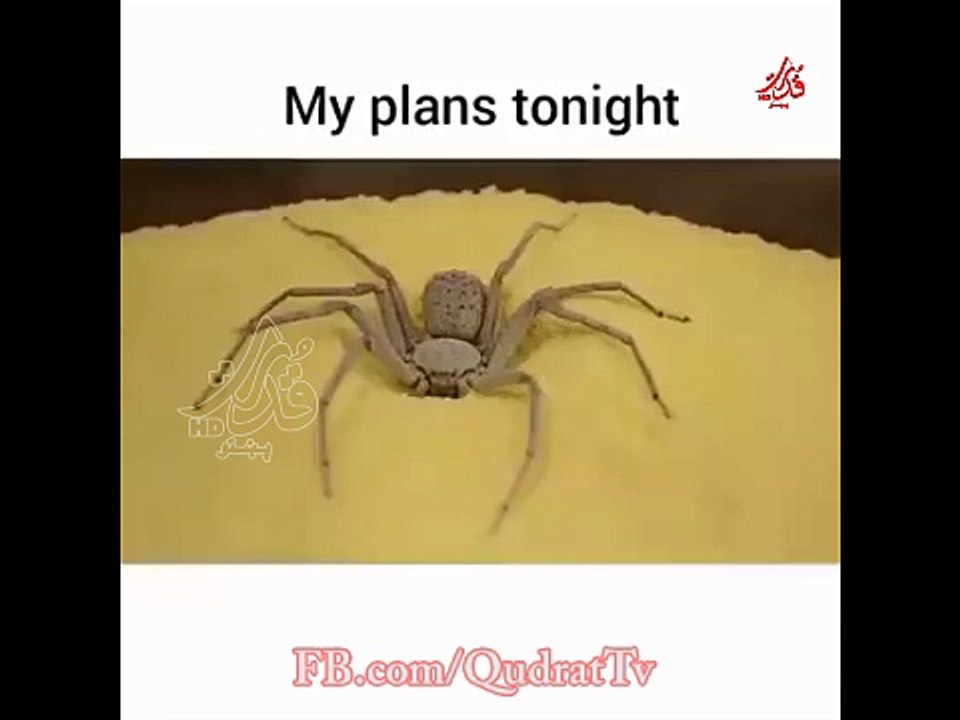 YUP!-
