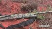 New Bargain Turkey Gun: Stoeger M3000 Semi-Automatic 12 Gauge