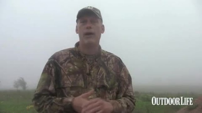 Turkey Hunting Tip: When to Use a Decoy