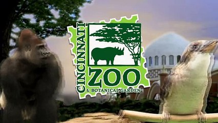 Cutest Baby Hedgehogs Ever Cincinnati Zoo Самые симпатичные ежики зоопарка Цинциннати