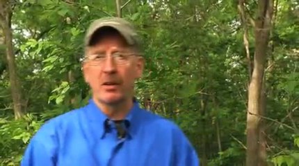 Catch Bucks Before They Bed Down For The Night