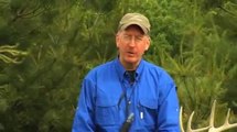 Rut Report: Read Body Language For Better Deer Calling