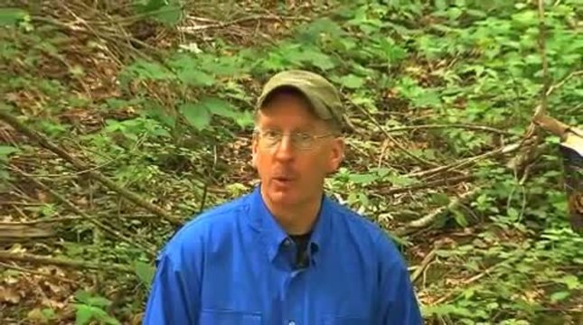 Rut Report: Get Creative With Trail Cameras