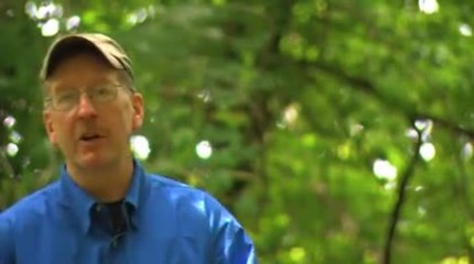 Lead Big Bucks to Your Stand With a Scented Rag