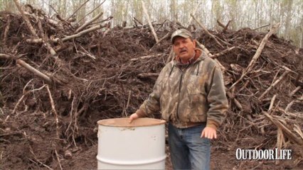 Bear Week - Baits and Judging