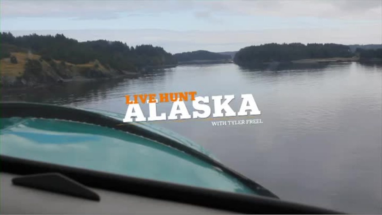 Live Hunt AK: Swarovski EL Range Binocular Review