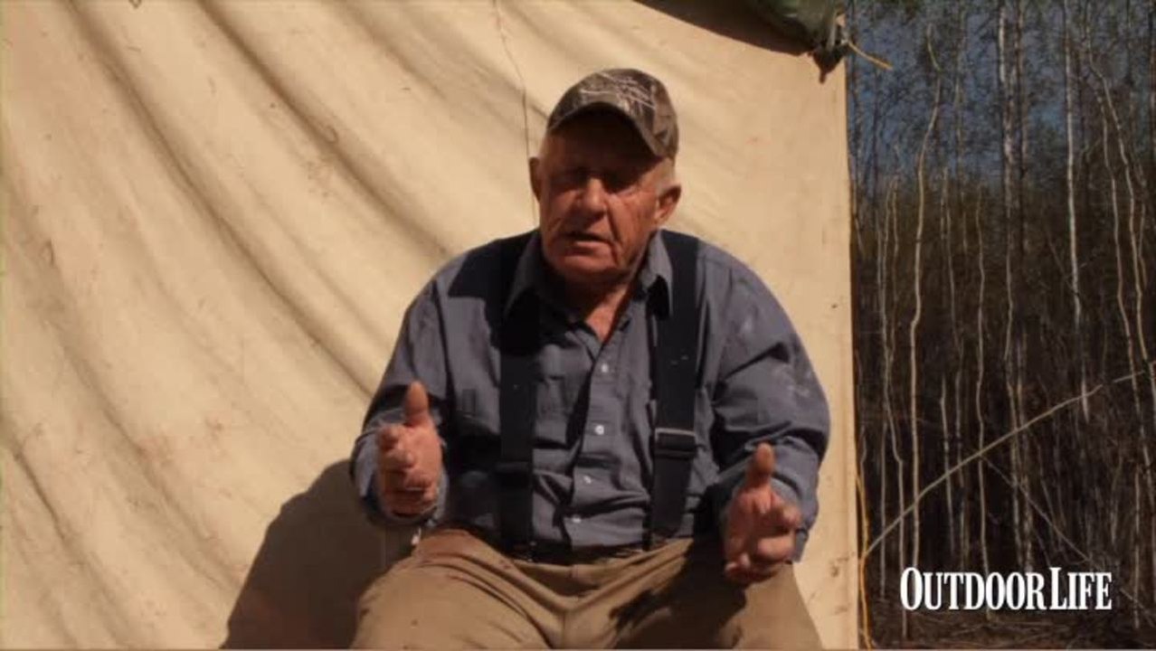 Bear Week: How to Read Bear Signs