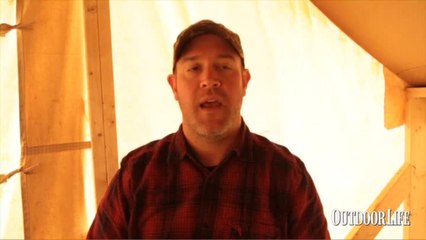 Bear Week: Loaded for Bear