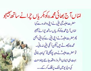 Ammaa Aaj BHai Muhammad S.A.w.w ko Bakrya charany saath bhejoo