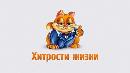 как быстро погладить футболку, рубашку - Хитрости жизни