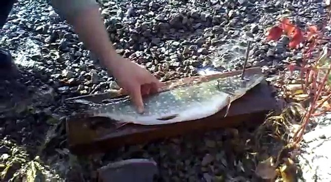 НОВИНКА ПРИКОЛ... как быстро почистить рыбу.