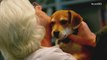 After deaths, airline finally says 'no' to checking pets as baggage
