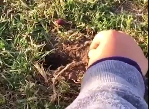 Нужно делиться