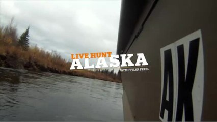 How to Field Judge and Size Bears