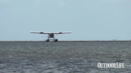 Louisiana Delta: Mother Nature Got it Right the First Time