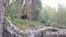 Live Hunt Video: Too Close to a Grizzly