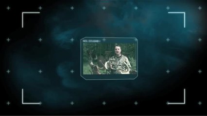 Introducing DSI: Deer Scene Investigation