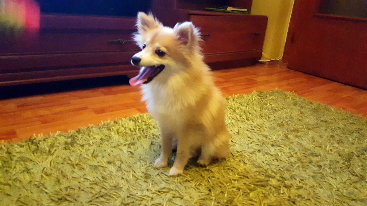 Firefox jumping around :)
