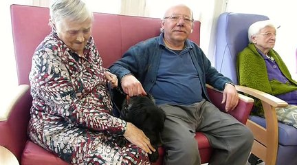 Saint-Gobain : un chien arrive à la résidence Jean-Moulin