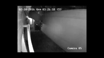 Câmeras de segurança flagram furto no Condomínio Edifício Itaporã