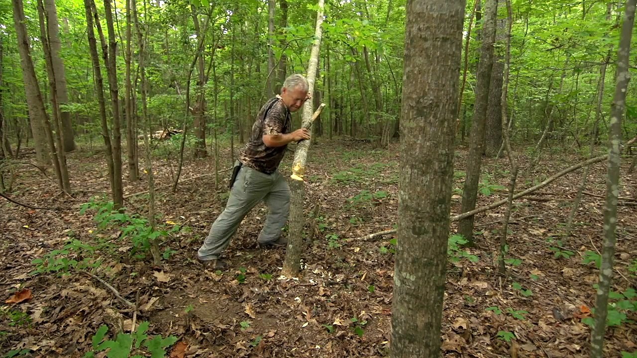 For Love of Golden Bonefish (4 of 4)