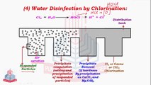 Purification of Water ( Removal of Hardness of Water & Water Disinfection by Chlorination  )& Harmful effect of Chlorinated Water