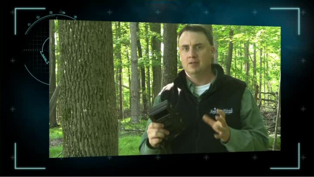 DSI Video Tip: Set & Forget