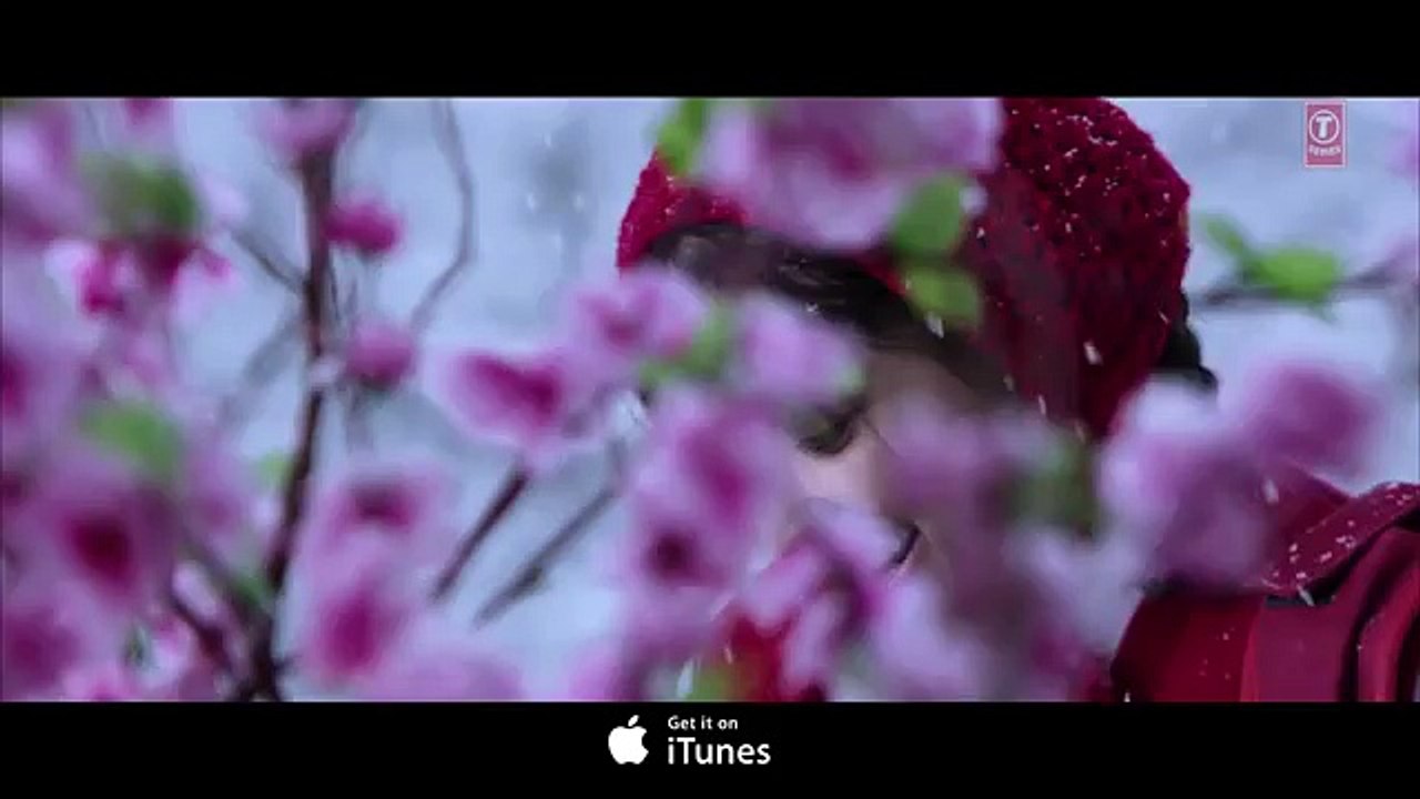 SANAM RE REMIX Video Song _Pulkit Samrat, Yami Gautam _ Divya Khosla _ ZMTracks
