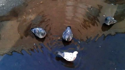 Битва за воду