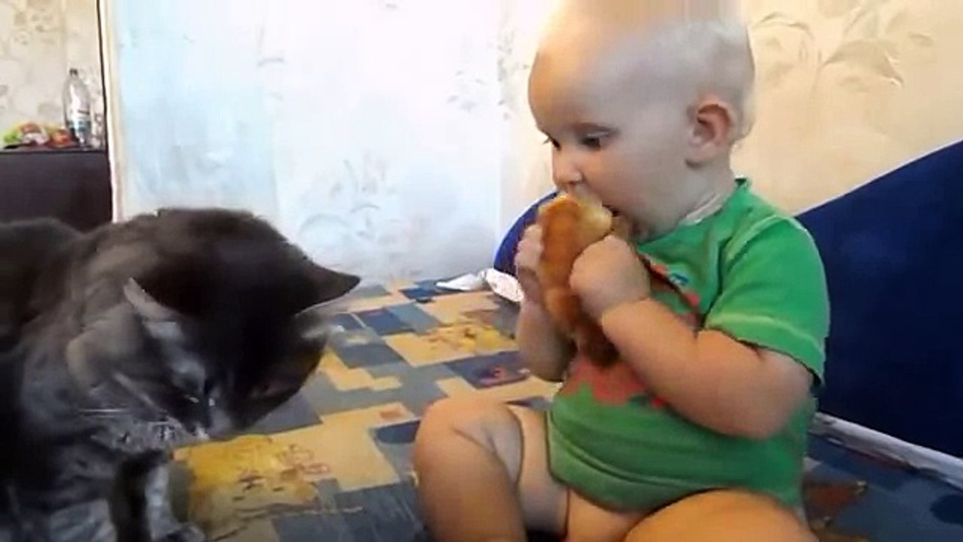 Малыш решил покормить кошку