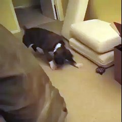 What the hell is this?!