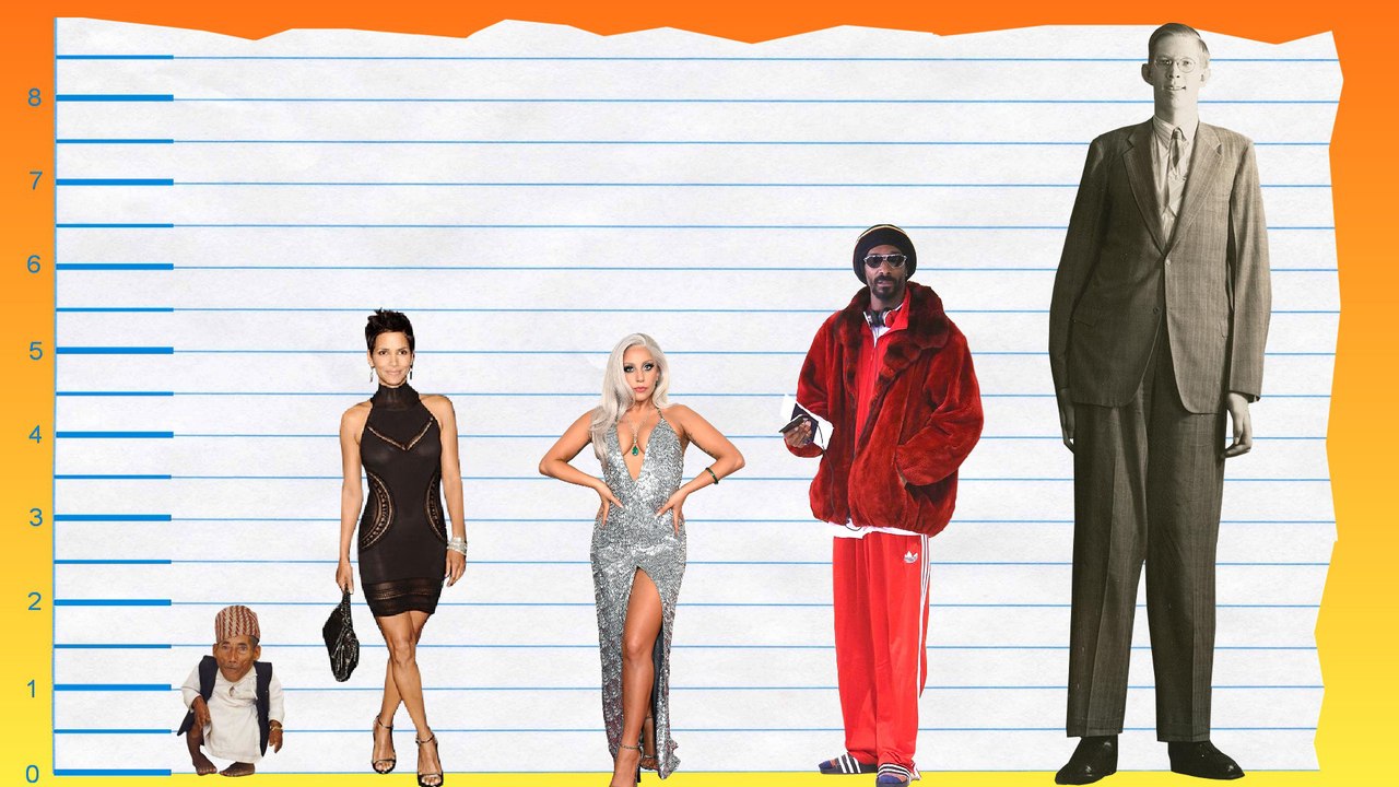How Tall Is Halle Berry? - Height Comparison!