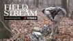 Hang-and-Hunt: Hang a Treestand in 7 Minutes