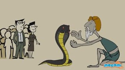 Cobras - Fun Fact Series EP18 | Mocomi Kids