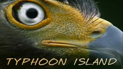 BBC Мир природы. Остров Тайфунов 2004
