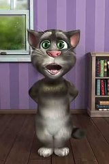 Talking Tom Cat Sings TERI MERI PREM KAHANI Urdu, Mirpuri, English Funny TOM CAT