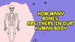 Interesting Facts About Human Body | How Many Bones Are There In Human Body?