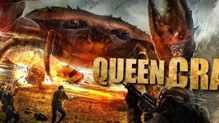 Queen Crab 1