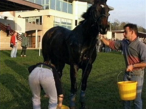 Galops 6 : Préparation aux examens de la FFE