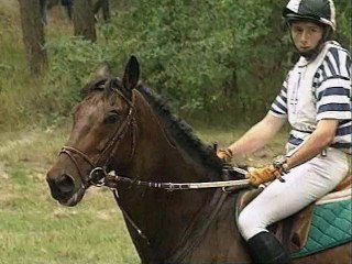 Galops 5 : Préparation aux examens de la FFE